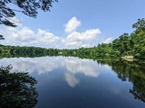 A serene lake surrounded by lush greenery and blue skies, with fluffy clouds reflected on the water's surface.