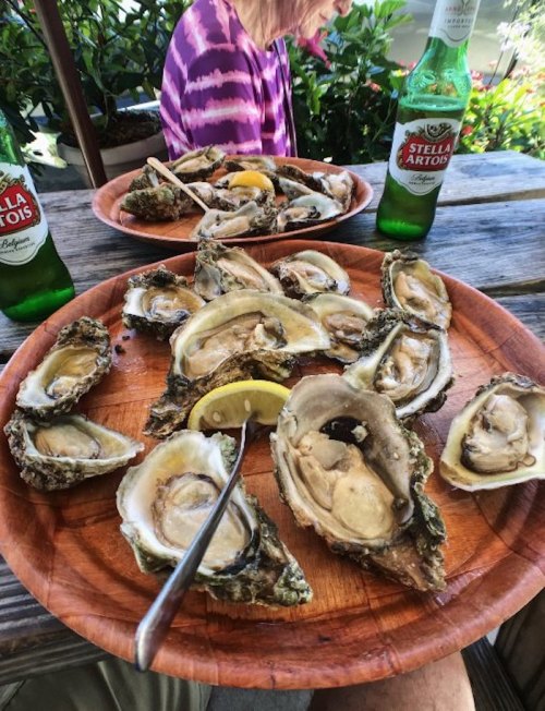 A wooden platter filled with fresh oysters, lemon slices, and two bottles of Stella Artois beer in the background.