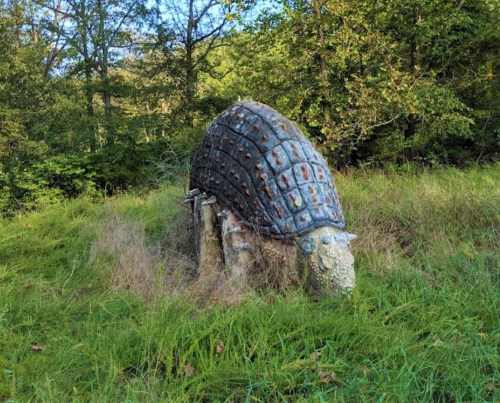 A large, whimsical turtle sculpture partially hidden in tall grass, surrounded by trees in a natural setting.