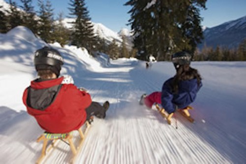 Two people in winter gear sledding down a snowy path surrounded by trees and mountains under a clear blue sky.