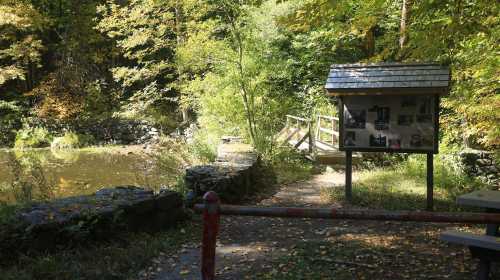 A serene path by a pond, with a wooden signboard and vibrant autumn foliage surrounding the area.