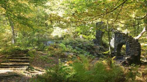 Ruins of an old stone structure surrounded by lush greenery and trees in a serene forest setting.