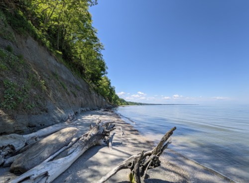 A serene beach scene with driftwood, gentle waves, and a clear blue sky, framed by lush greenery and a sloping shoreline.