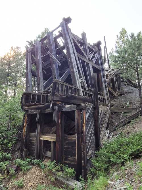 A dilapidated wooden structure leaning on a hillside, surrounded by trees and overgrown vegetation.