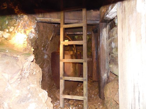 A wooden ladder leads up through a dimly lit underground space with rocky walls and a large container.