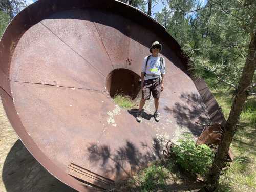 A person stands on a large, rusted metal disc surrounded by trees and grass in a natural setting.