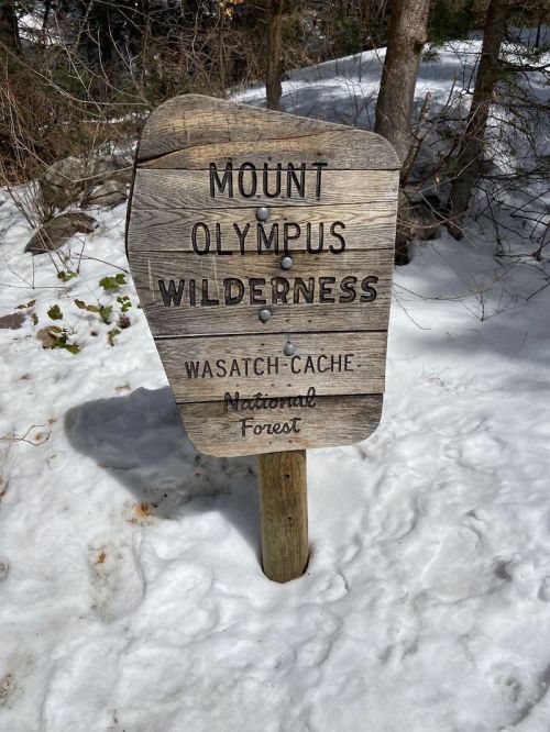 Wooden sign for Mount Olympus Wilderness in Wasatch-Cache National Forest, surrounded by snow and trees.