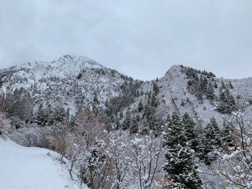Snow-covered mountains with evergreen trees and a cloudy sky, creating a serene winter landscape.