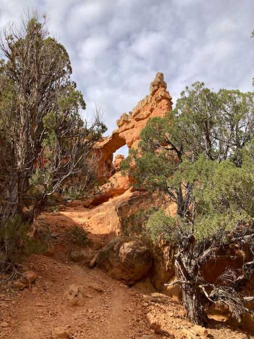 A rocky arch formation surrounded by trees and rugged terrain under a cloudy sky.