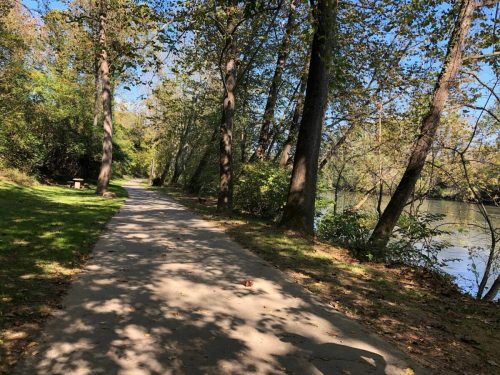 A serene pathway lined with trees, leading alongside a river on a sunny day.