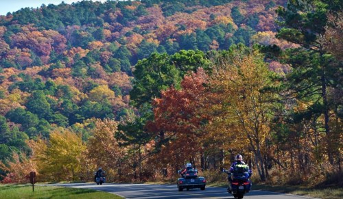 Motorcyclists ride along a scenic road surrounded by vibrant autumn foliage and rolling hills.