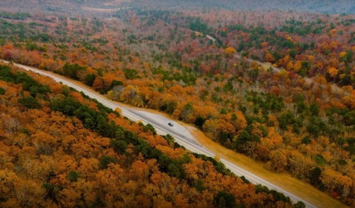 Aerial view of a winding road through vibrant autumn foliage in a forested landscape.