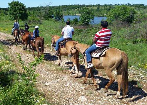 A group of people riding horses along a scenic trail near a lake, surrounded by greenery and trees.