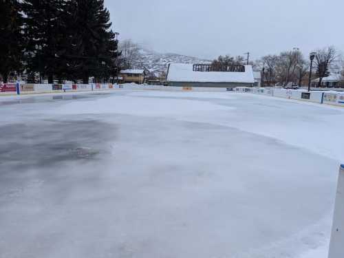 An empty outdoor ice rink covered in snow, surrounded by trees and buildings under a gray sky.