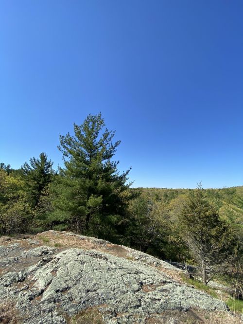 A rocky landscape with green trees under a clear blue sky.
