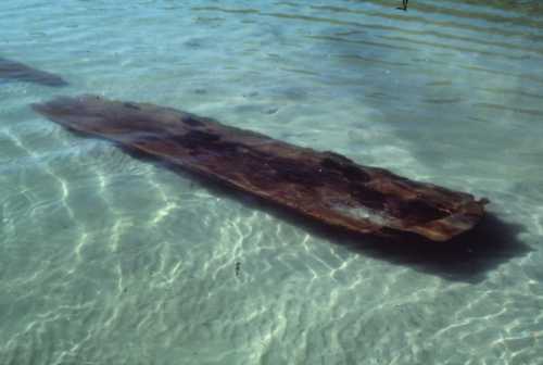 A weathered wooden plank partially submerged in clear water, surrounded by gentle ripples.