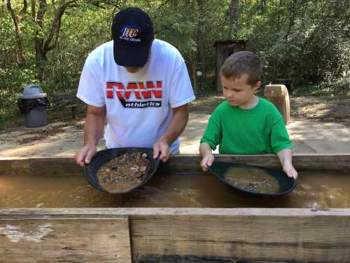 An adult and a child panning for gold in a shallow water trough surrounded by trees.