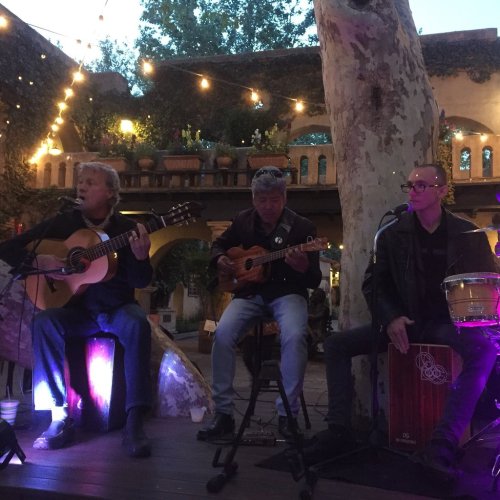 Three musicians perform outdoors at night, surrounded by string lights and greenery, playing guitar, ukulele, and percussion.