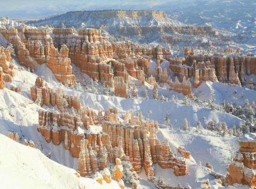 Snow-covered hoodoos and cliffs in Bryce Canyon, showcasing a stunning winter landscape under a clear blue sky.