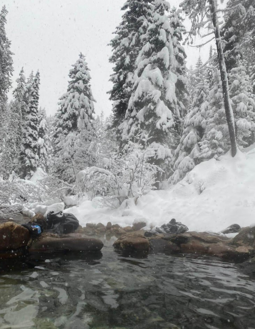 A serene winter scene with snow-covered trees surrounding a steaming hot spring. Snowflakes gently fall.