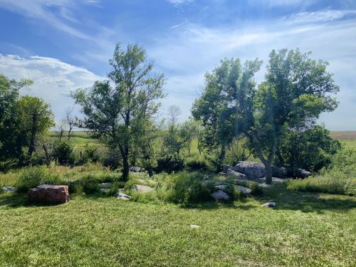 A serene landscape featuring green grass, trees, and rocks under a blue sky with scattered clouds.