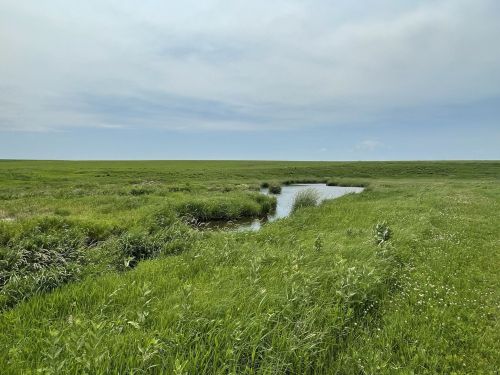 A serene landscape featuring a lush green field with a small winding stream under a cloudy sky.