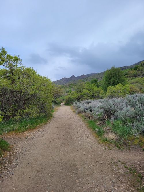 A dirt path winds through greenery and shrubs, leading towards distant mountains under a cloudy sky.