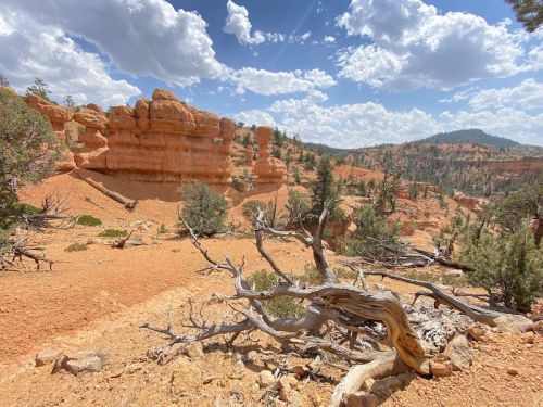 A rugged landscape featuring orange rock formations, scattered trees, and a cloudy blue sky in a natural setting.