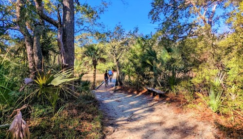 Two hikers walk along a sandy path through lush greenery and palm trees on a sunny day.