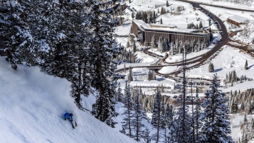 A skier descends a snowy slope surrounded by trees, with a resort and winding road visible in the background.