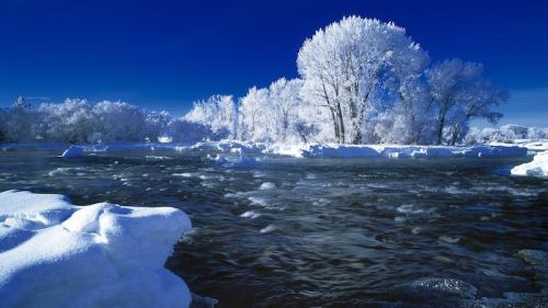 A serene winter landscape featuring a river surrounded by snow-covered trees and a clear blue sky.