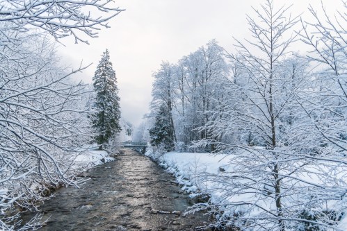 A serene winter scene featuring a snow-covered river surrounded by frosted trees and a cloudy sky.
