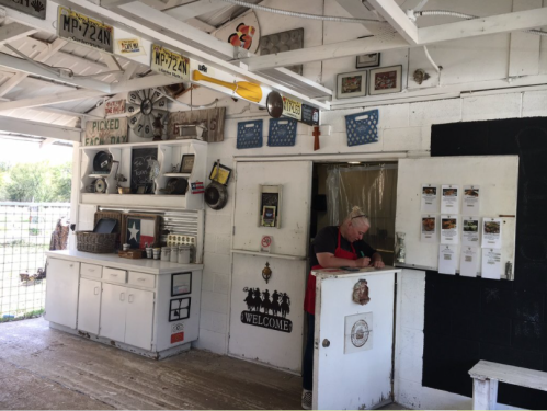 A rustic shop interior with a counter, shelves filled with decor, and a person standing behind the counter.