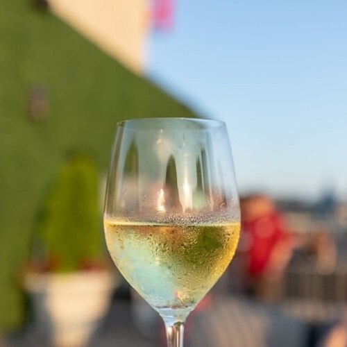 A close-up of a glass of white wine with condensation, set against a blurred outdoor background.
