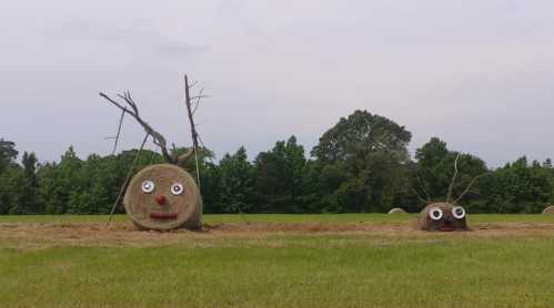 Two hay bales decorated with eyes and noses, resembling cartoonish faces, in a grassy field with trees in the background.