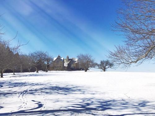 A snow-covered landscape with a large house in the background and bare trees under a clear blue sky.