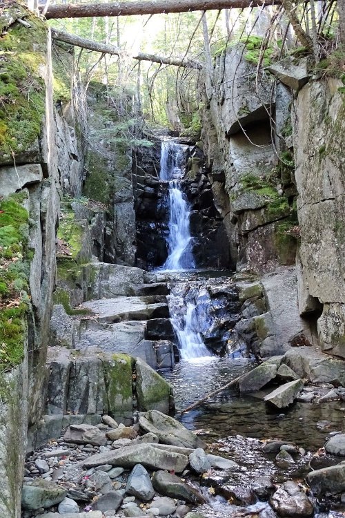 A serene waterfall cascading down rocky cliffs, surrounded by lush greenery and moss-covered stones.