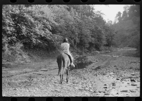 A person on horseback rides along a dry riverbed, surrounded by trees and rocky terrain.