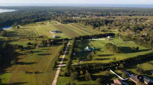 Aerial view of a lush landscape with vineyards, fields, and a labeled area named "Silver Bullet."