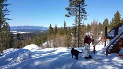 A person in winter gear stands with a black dog on a snowy trail, surrounded by trees and mountains in the background.