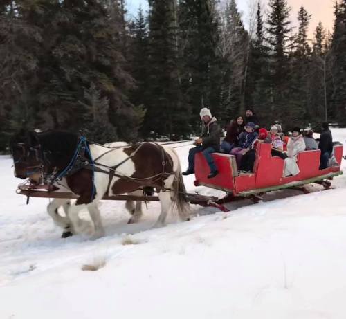 A horse-drawn sleigh carries a group of people through a snowy forest landscape.