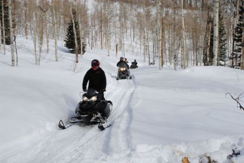 Three snowmobiles navigate a snowy trail through a forest of bare trees.