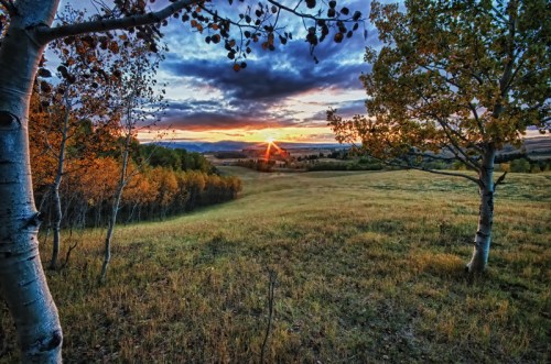 A scenic landscape at sunset, featuring a grassy field, trees, and vibrant autumn colors under a dramatic sky.