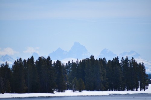 Snow-capped mountains rise in the background, framed by a forest of evergreen trees and a calm lake in the foreground.