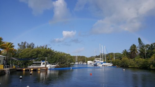 A serene marina scene with boats, lush greenery, and a rainbow arching over a blue sky.
