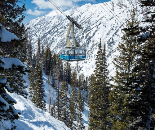 A ski gondola glides over snow-covered mountains, surrounded by tall evergreen trees.