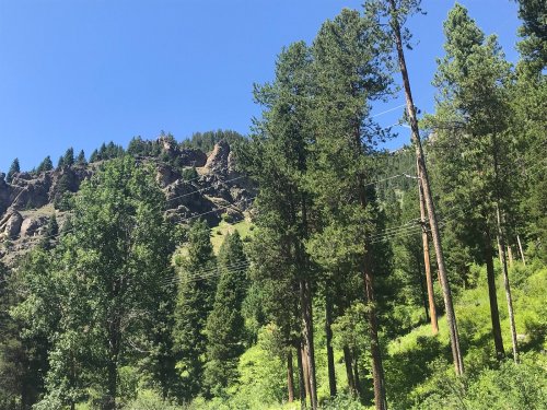 Lush green trees in the foreground with a rocky hillside and clear blue sky in the background.