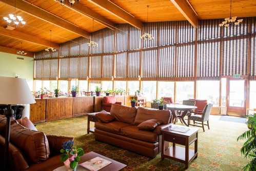 Cozy lounge with wooden beams, large windows, plants, and comfortable seating, creating a warm, inviting atmosphere.