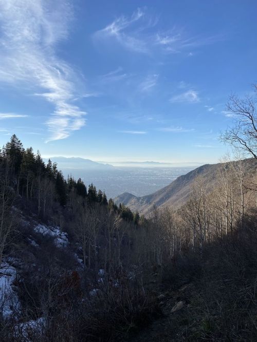 A scenic view of mountains and a valley under a clear blue sky, with some snow on the ground and trees in the foreground.