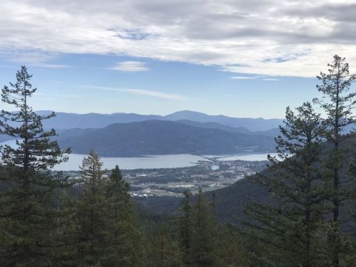 A scenic view of a lake surrounded by mountains and trees under a cloudy sky.